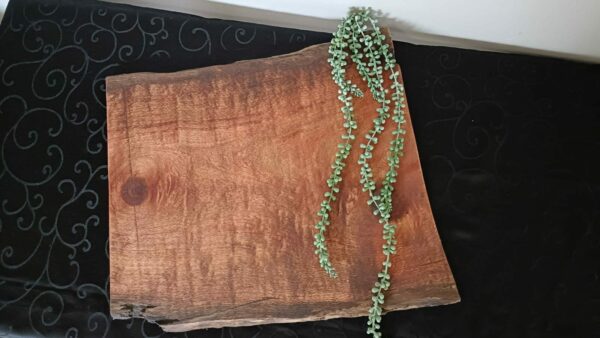 Wooden Food Platter