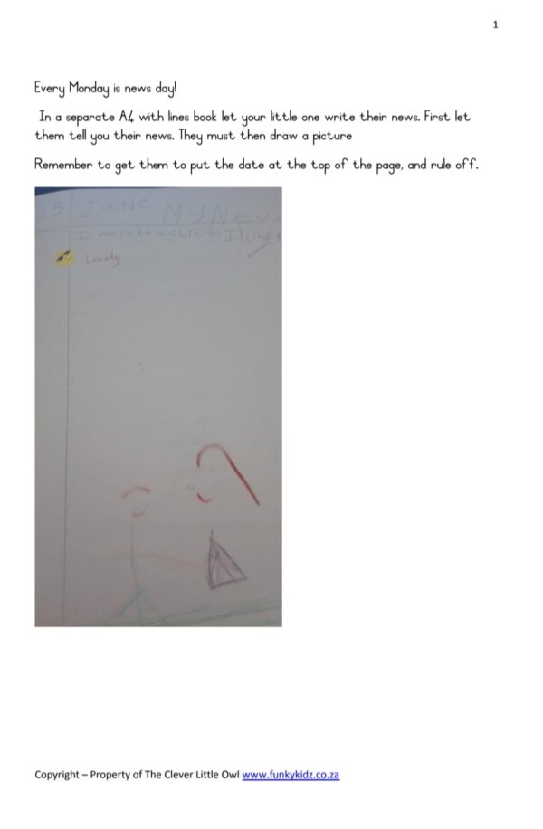 The Clever Little Owl - Curriculum Grade 1 (PDF) - Image 4