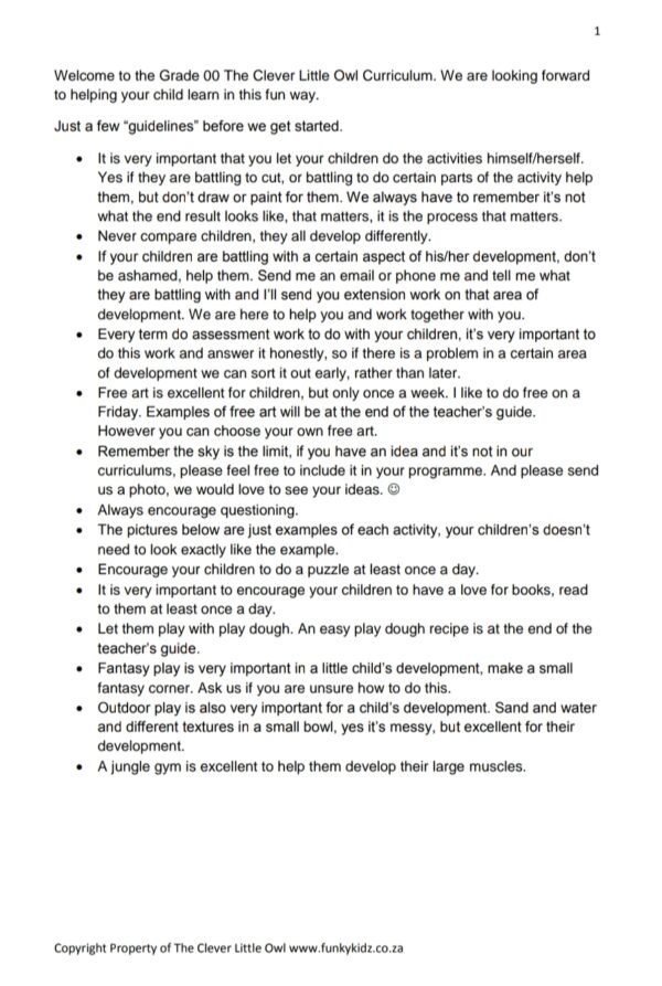 The Clever Little Owl Curriculum - Grade 00/RR (PDF) - Image 2
