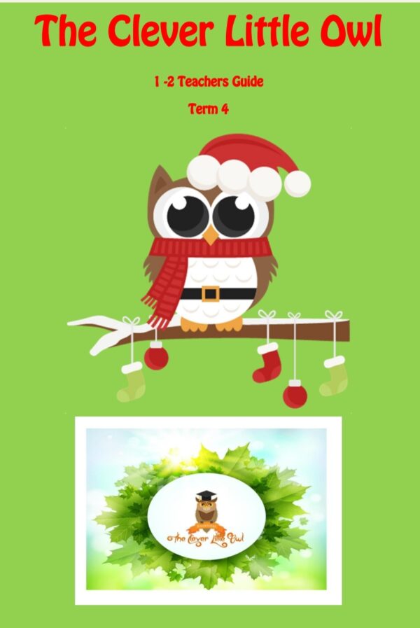 The Clever Little Owl Curriculum 1 -2 age group (PDF)