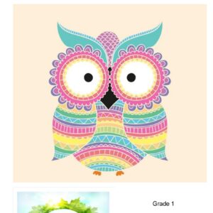 The Clever Little Owl - Curriculum Grade 1 (PDF)