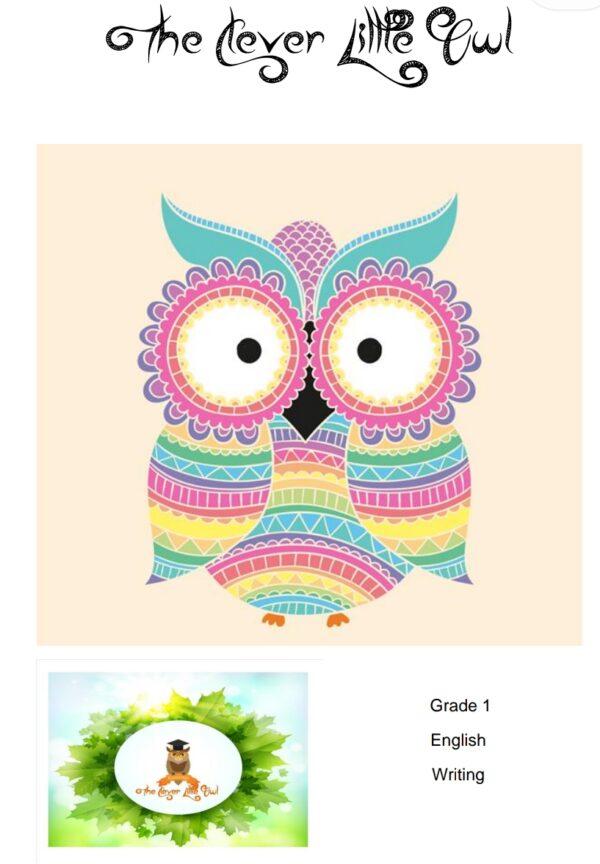 The Clever Little Owl - Curriculum Grade 1 (PDF)