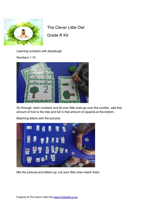 The Clever Little Owl Curriculum - Grade R (PDF)