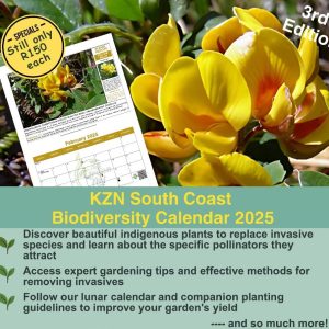 2025 Calendar KZN South Coast Biodiversity