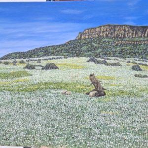 Gifberg, Namaqualand