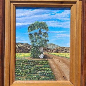 Namaqualand scene - Framed