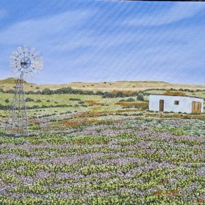 Namaqualand flowers