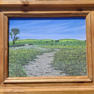 Namaqualand framed